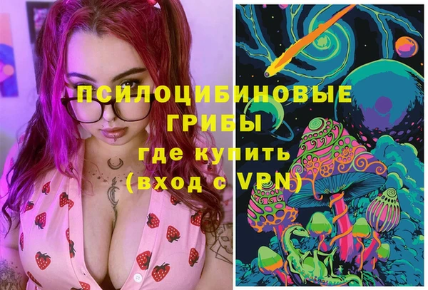 apvp Остров