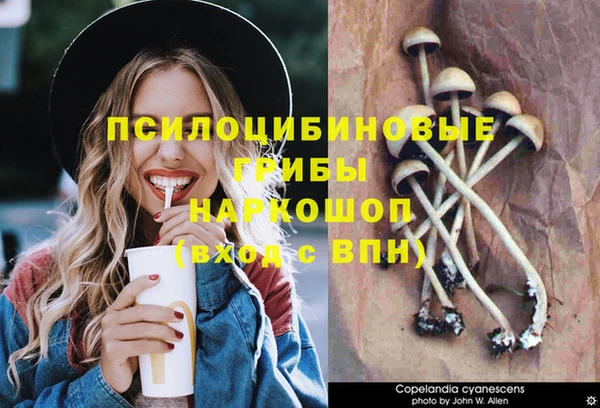 apvp Остров