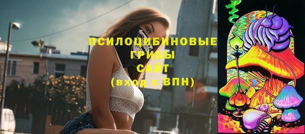 синтетический гашиш Сосновоборск