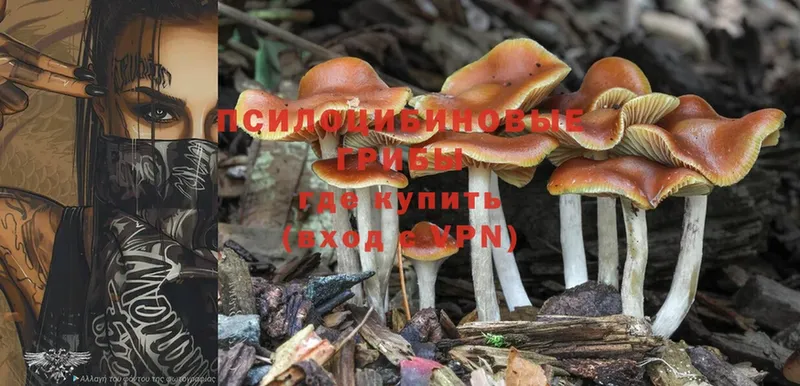 Псилоцибиновые грибы MAGIC MUSHROOMS  Котельниково 